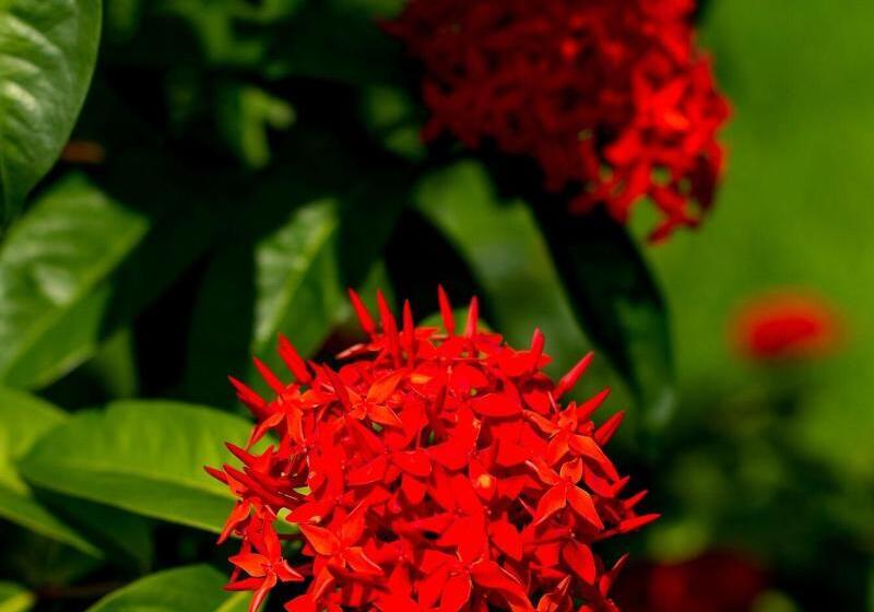 پانسیون Zerof Guest House