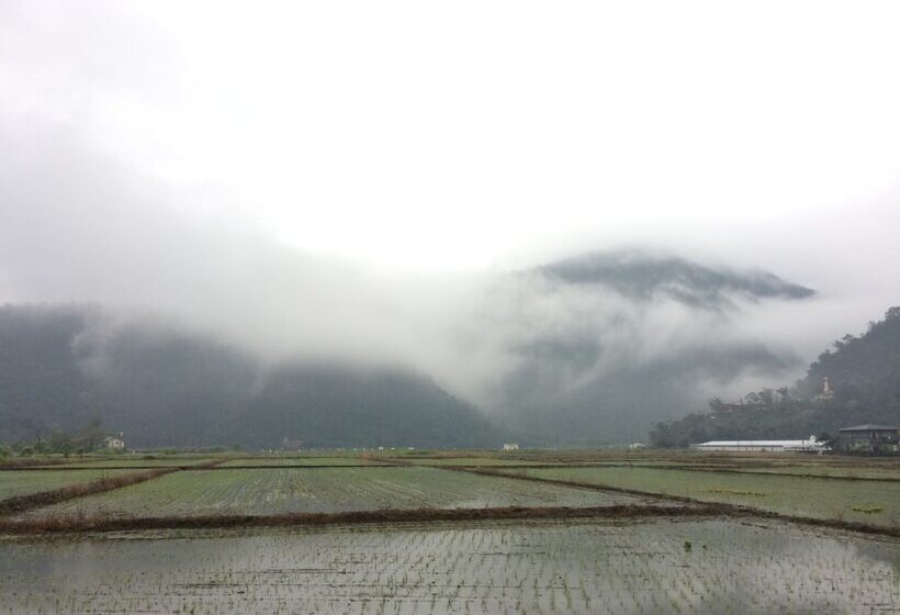 Phoenix Landscaping B&b