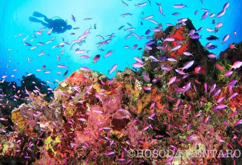 Tawali Leisure & Dive Resort