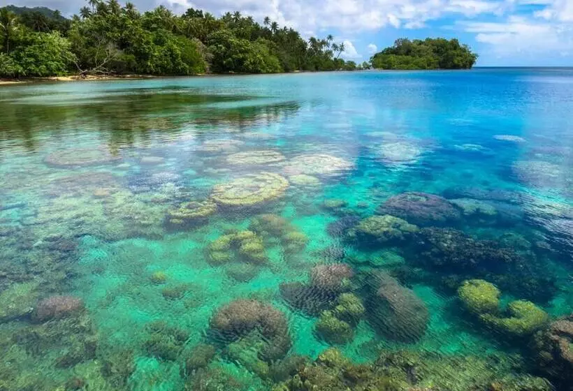 Tawali Leisure & Dive Resort