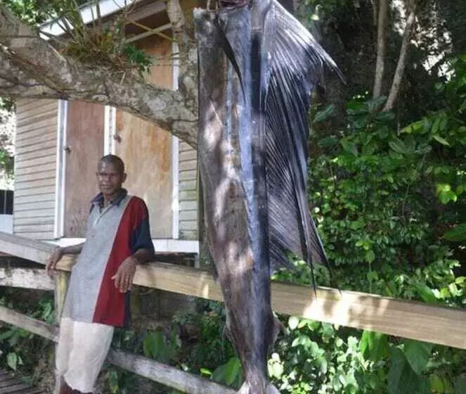 Tawali Leisure & Dive Resort