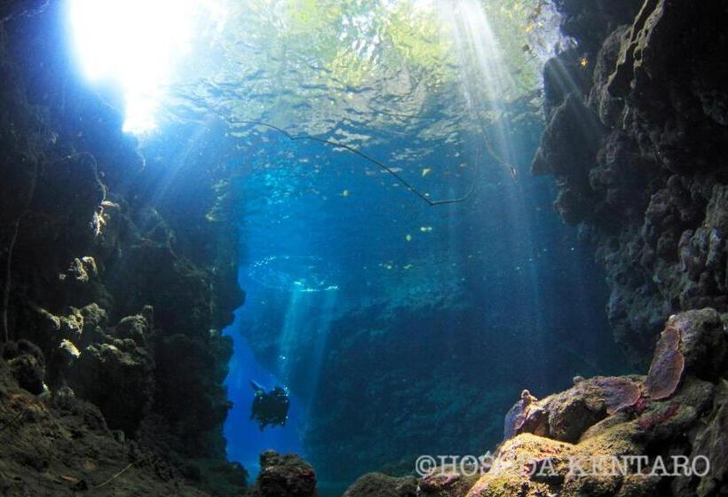 Tawali Leisure & Dive Resort