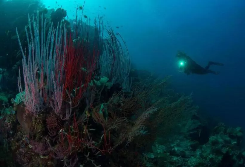 Tawali Leisure & Dive Resort