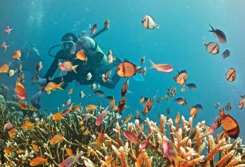 Tawali Leisure & Dive Resort