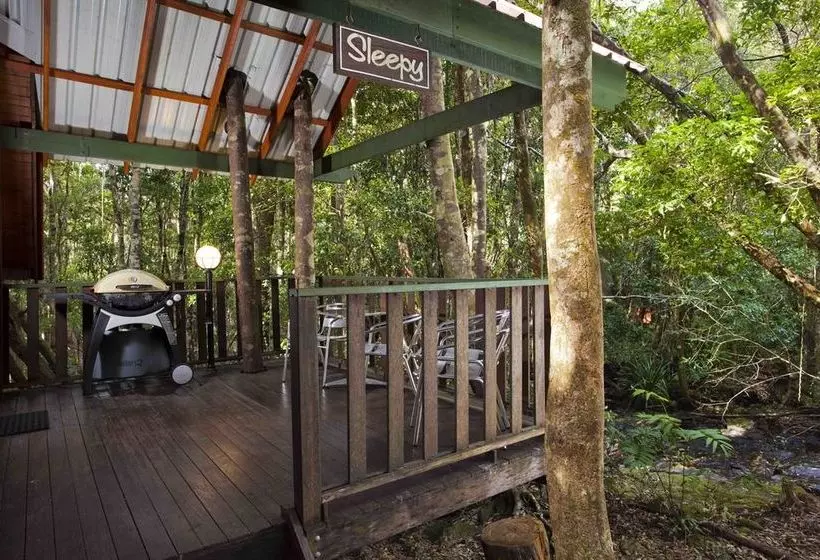 The Mouses House Rainforest Retreat