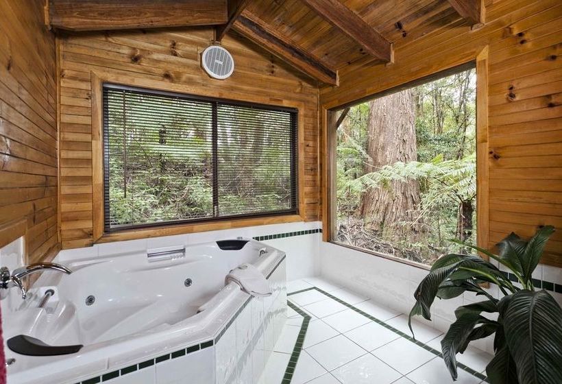 The Mouses House Rainforest Retreat