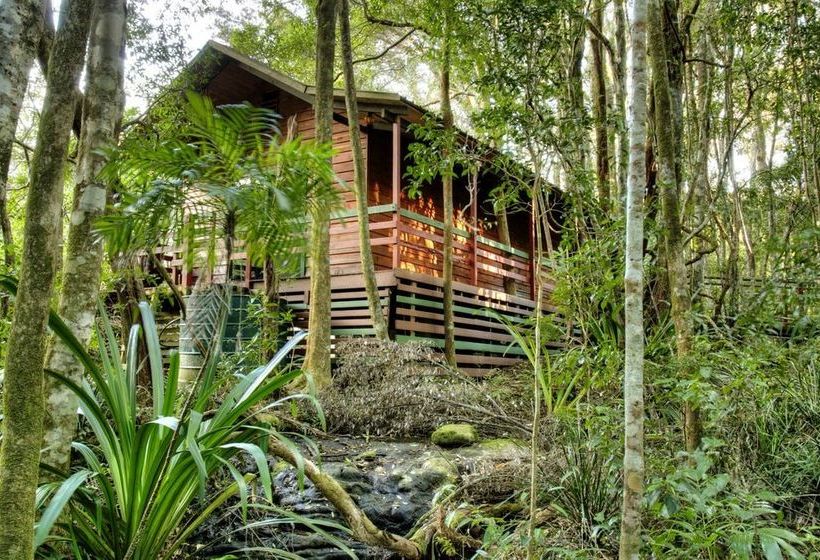 The Mouses House Rainforest Retreat