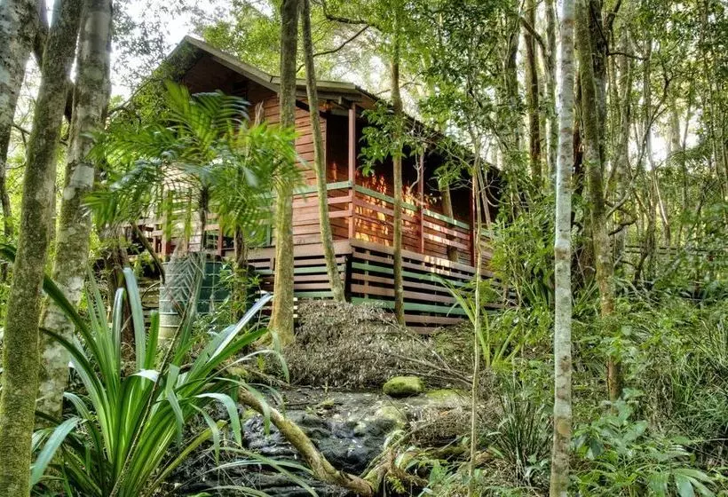 The Mouses House Rainforest Retreat