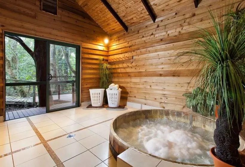 The Mouses House Rainforest Retreat