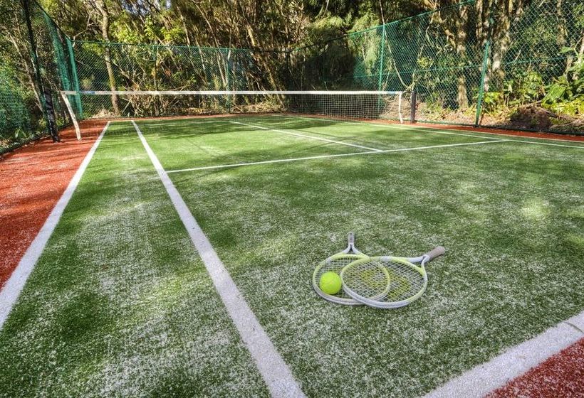 The Mouses House Rainforest Retreat