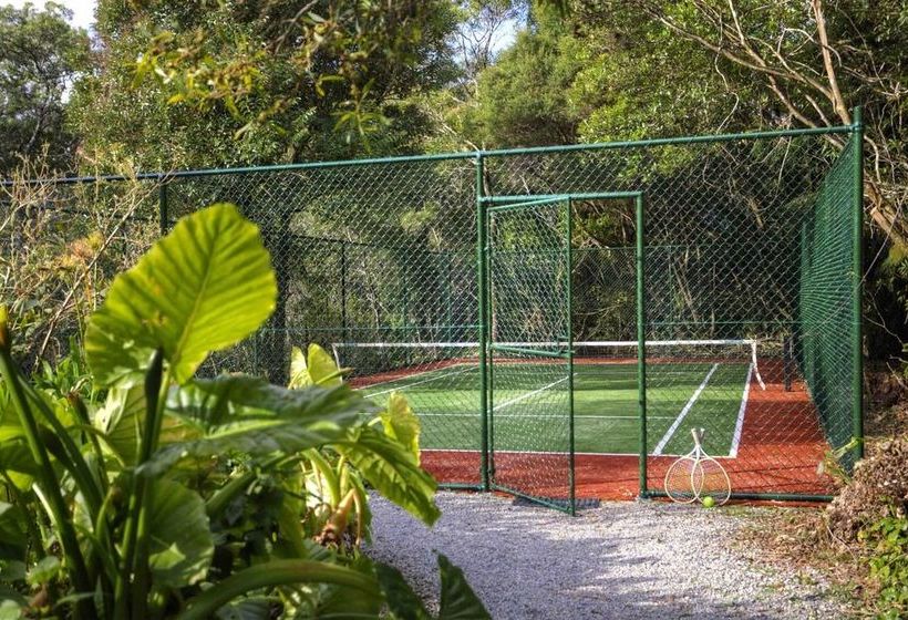 The Mouses House Rainforest Retreat