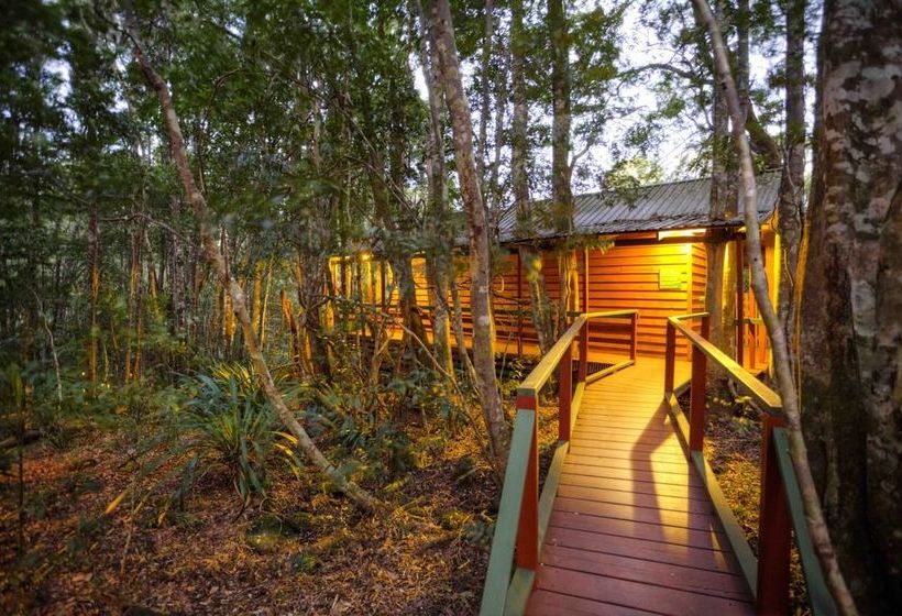 The Mouses House Rainforest Retreat