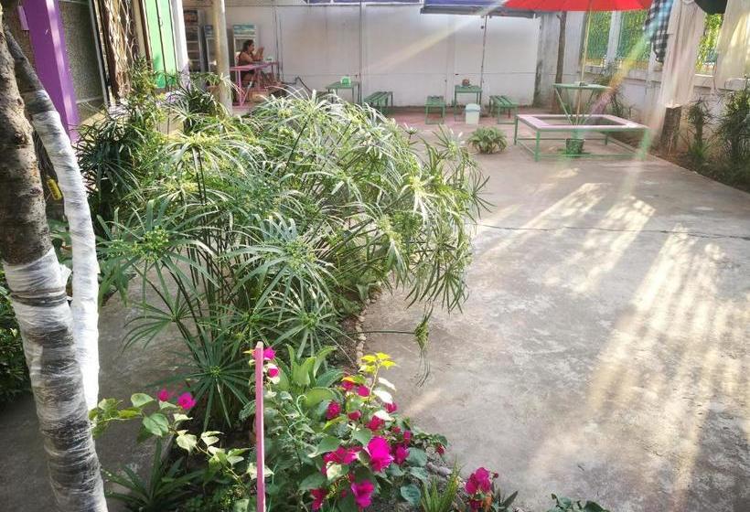 Nt Backpackers  Hostel