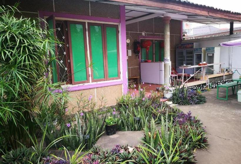 Nt Backpackers  Hostel