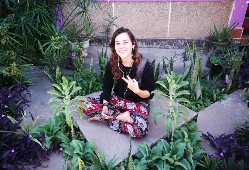 Nt Backpackers  Hostel