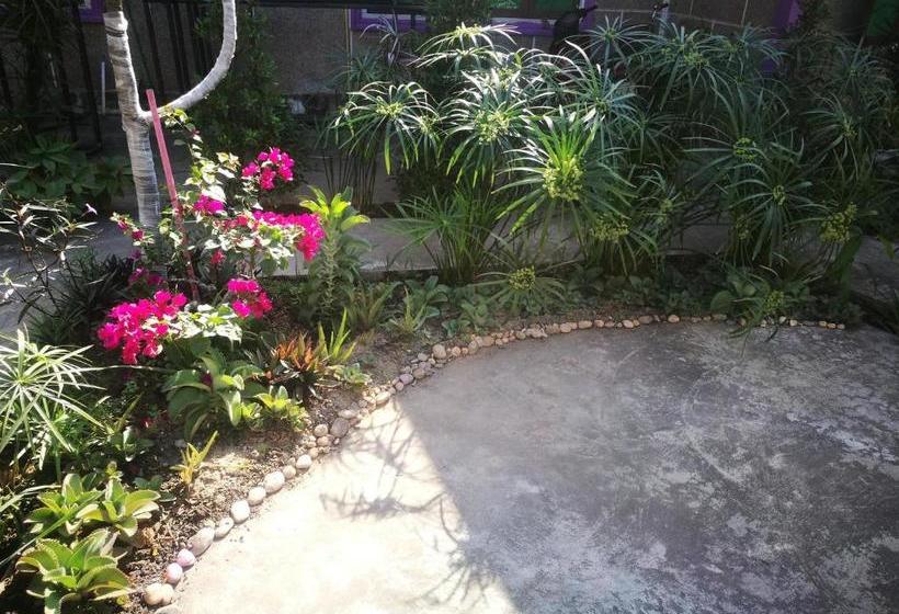 Nt Backpackers  Hostel