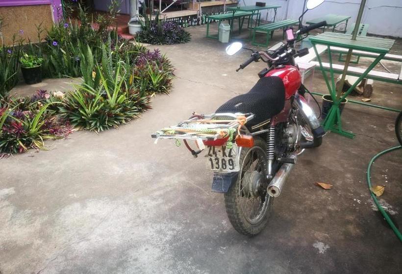 Nt Backpackers  Hostel