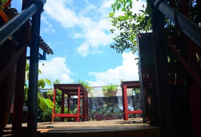 En Attendant Godot Youth Hostel