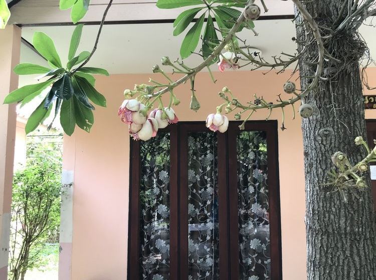 Отель Green Leaf Resort