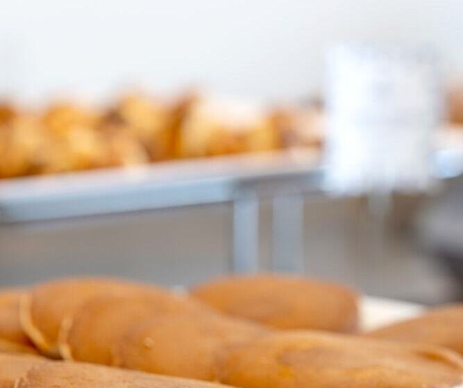 فندق Oporto Airport & Business