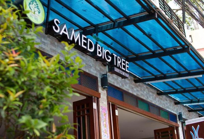 Pansiyon Samed Big Tree