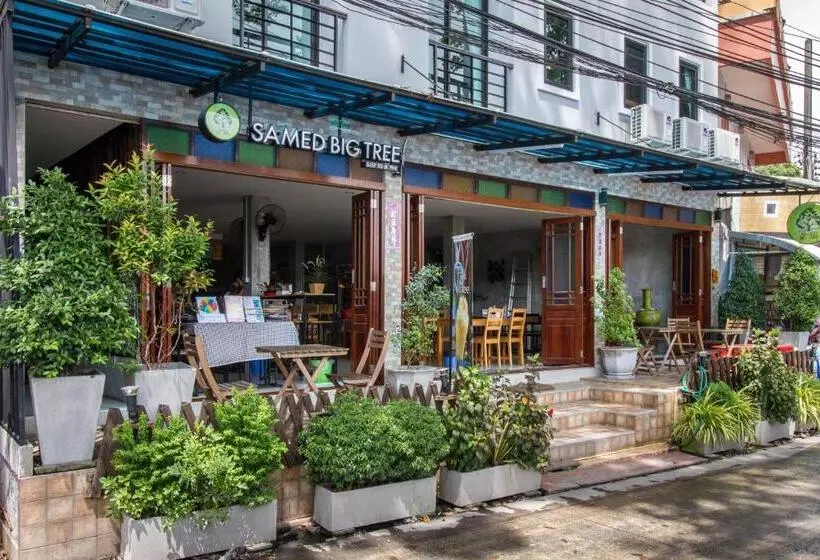 پانسیون Samed Big Tree