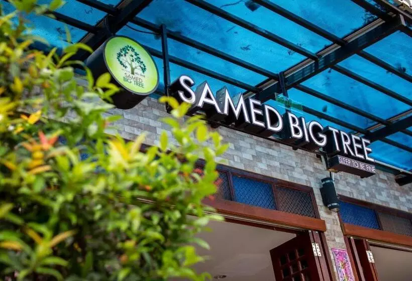 پانسیون Samed Big Tree