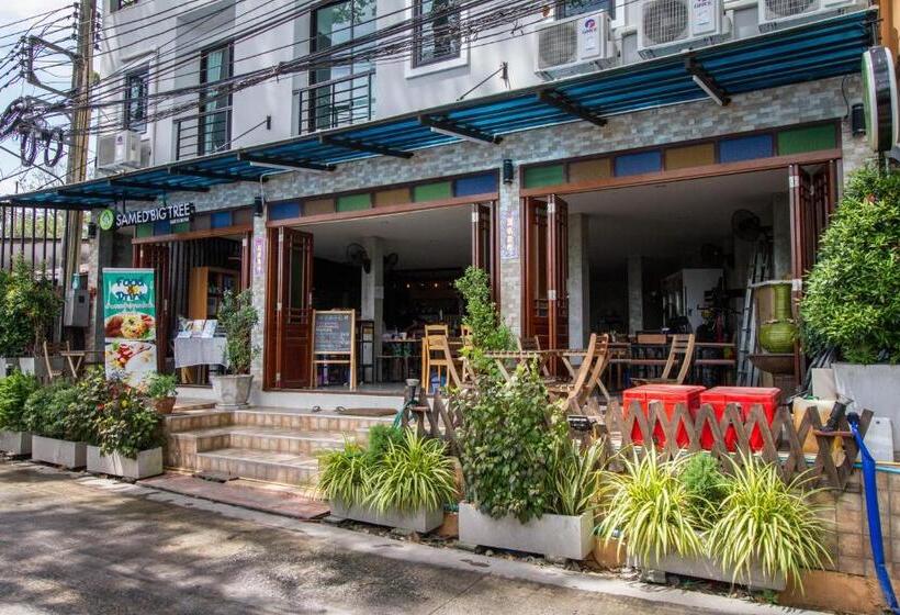 Pansiyon Samed Big Tree