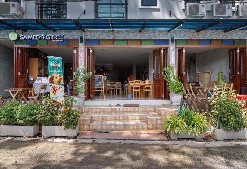 Pansiyon Samed Big Tree