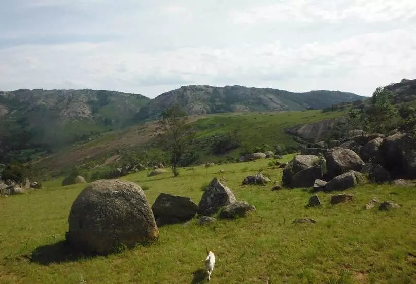 Veki S Village Cottages