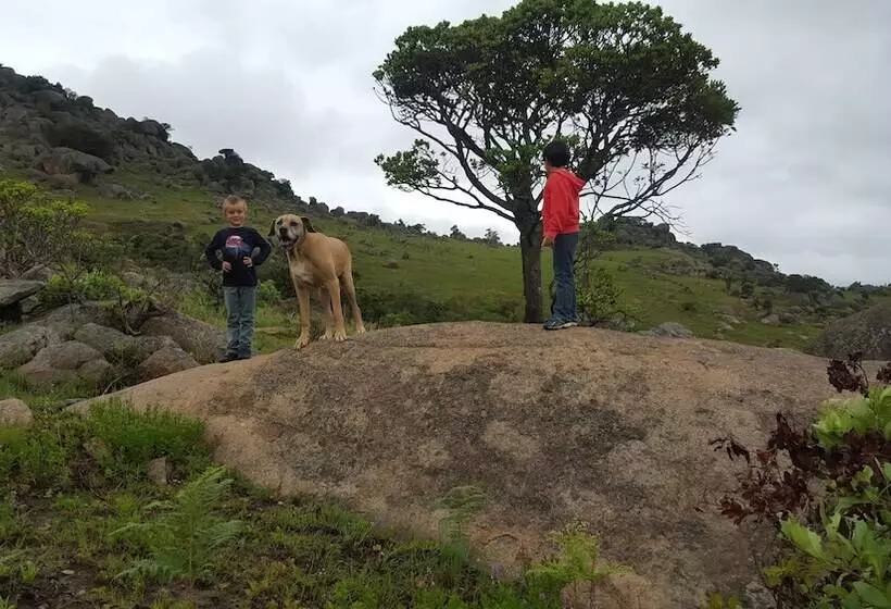 Veki S Village Cottages