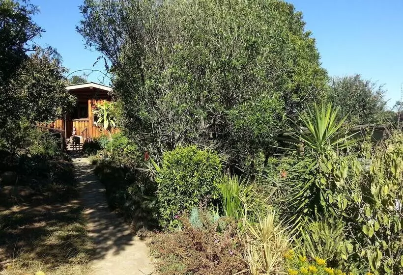 Veki S Village Cottages