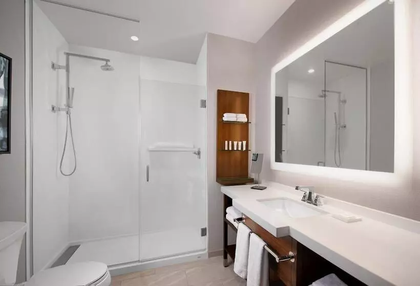 Marriott Dallas Allen Hotel & Convention Center