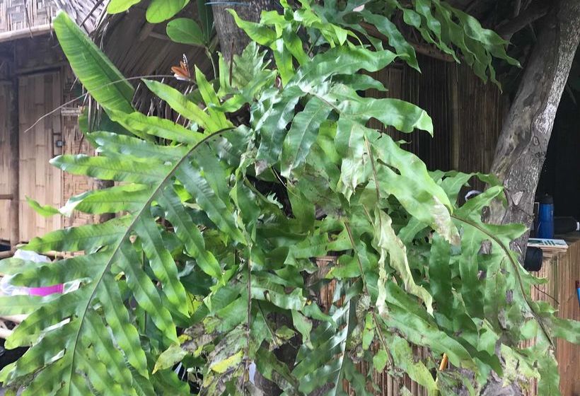 酒店 The Bamboo Garden