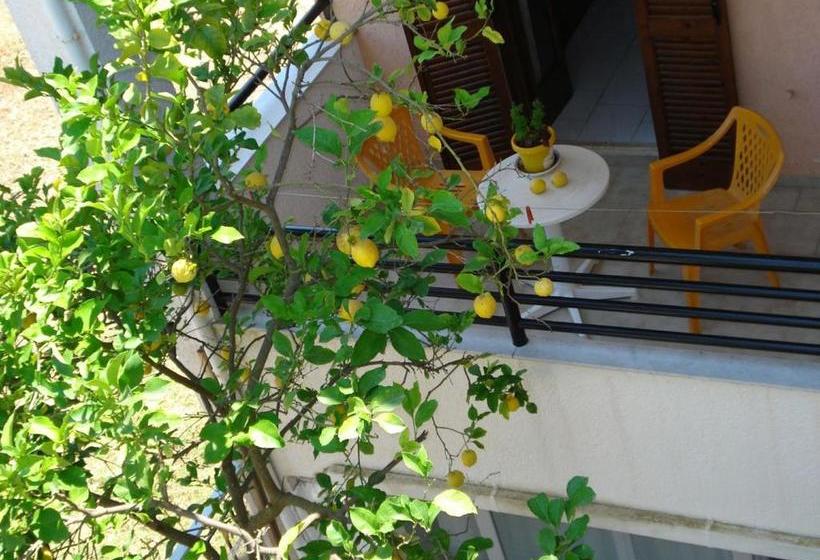 Afrodite Spacious Apartments!