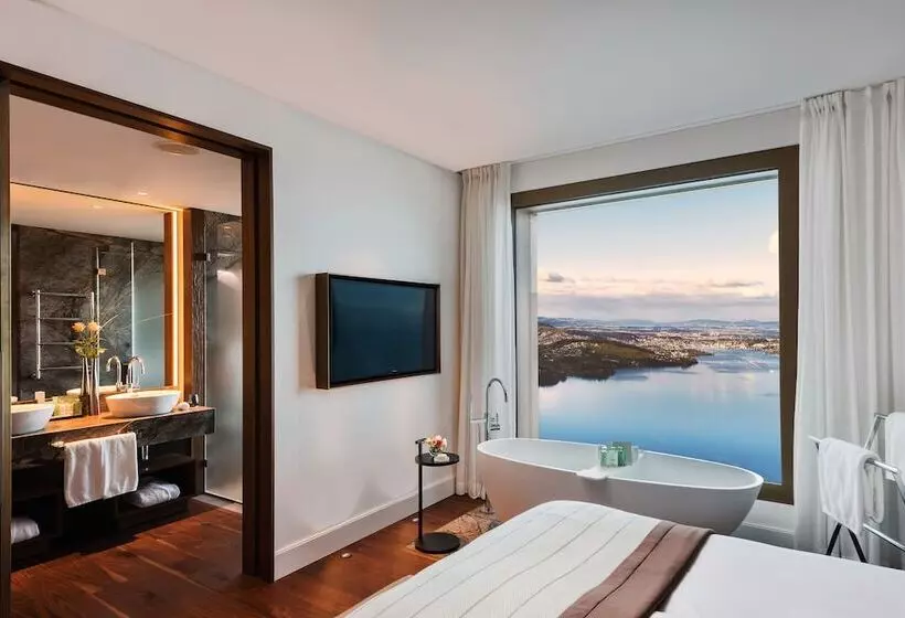 Bürgenstock Hotel & Alpine Spa