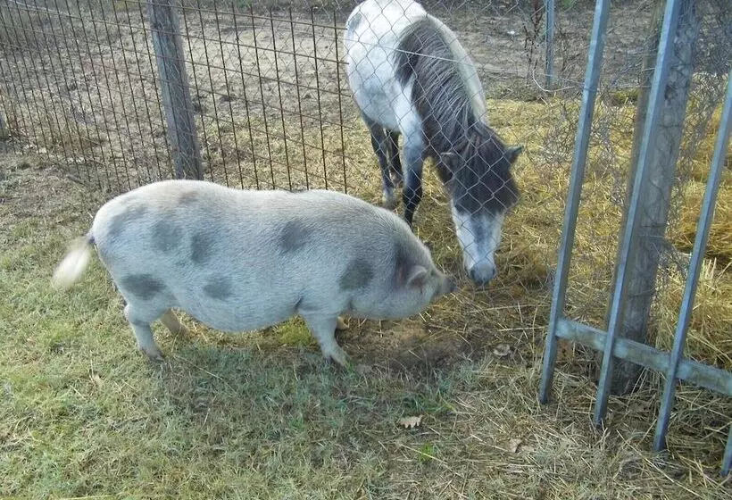 Hotelli Agriturismo Le Baccane