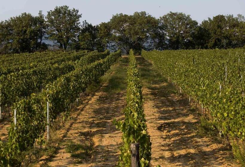 酒店 Agriturismo Le Baccane