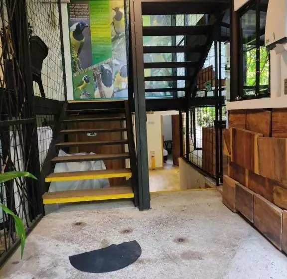 هتل Alojamiento Carriquí