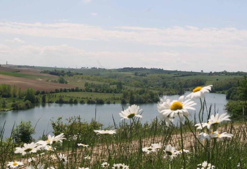 בית מלון כפרי Logis Hôtel   Auberge Du Pastel   Hôtel 3 étoiles Et Restaurant