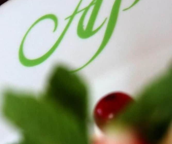 בית מלון כפרי Logis Hôtel   Auberge Du Pastel   Hôtel 3 étoiles Et Restaurant