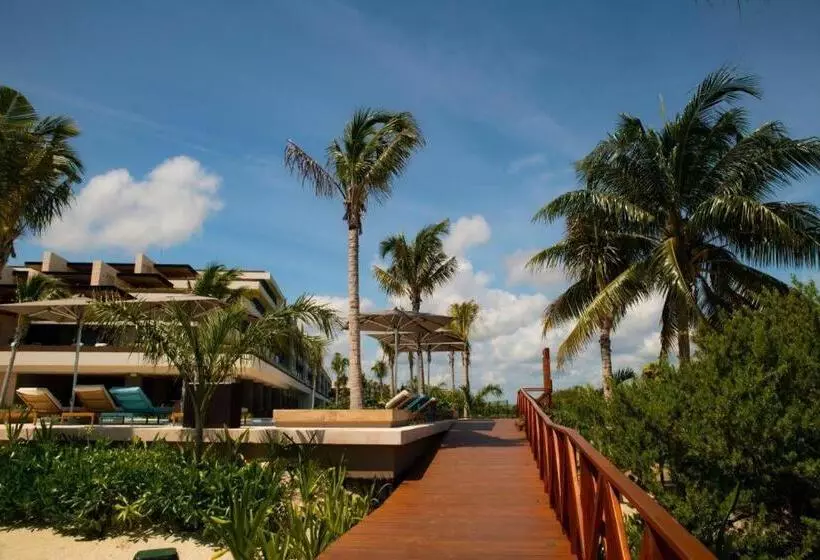 Hotelli Estudio Playa Mujeres – All Inclusive