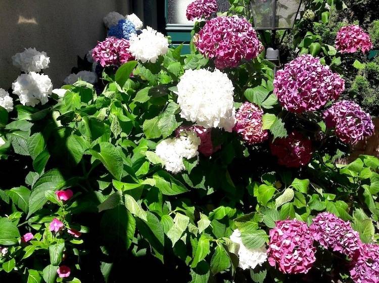 فندق Logis Hôtel Du Midi