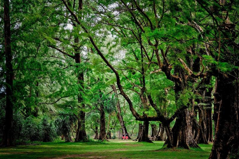 בית מלון כפרי Naiyang Park Resort   Sha Extra Plus