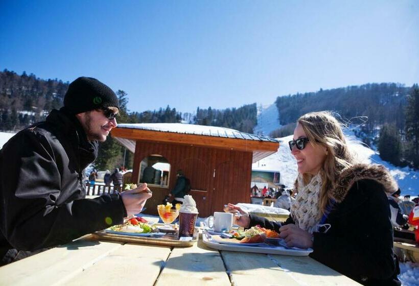 酒店 Résidence Les Grandes Feignes