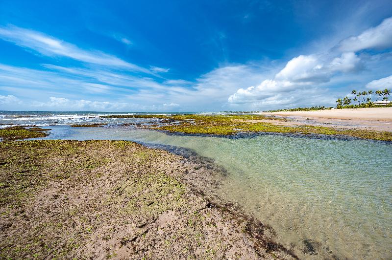 בית מלון כפרי B Blue Beachouses