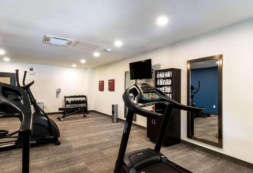 فندق Comfort Suites