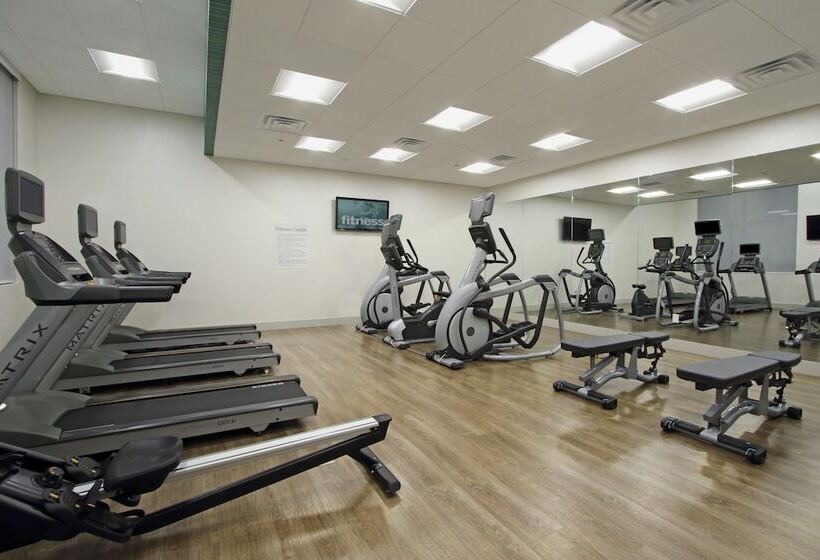 فندق Holiday Inn Express And Suites Frisco Nw