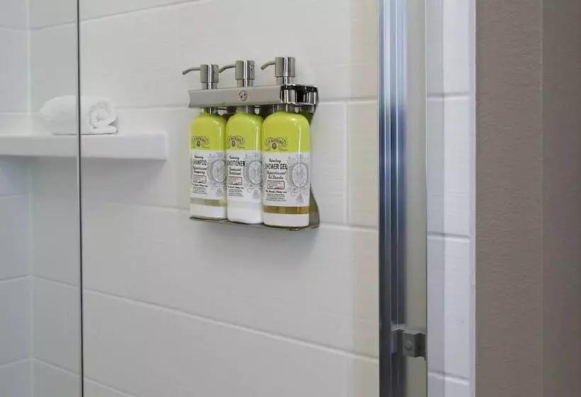 Hotelli Holiday Inn Express & Suites Dallas Frisco Nw Toyota Stdm By Ihg