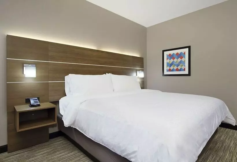 Hotelli Holiday Inn Express & Suites Dallas Frisco Nw Toyota Stdm By Ihg